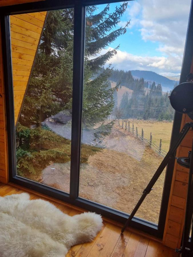 Chalet Corbilor The Raven's Hut Vatra Dornei