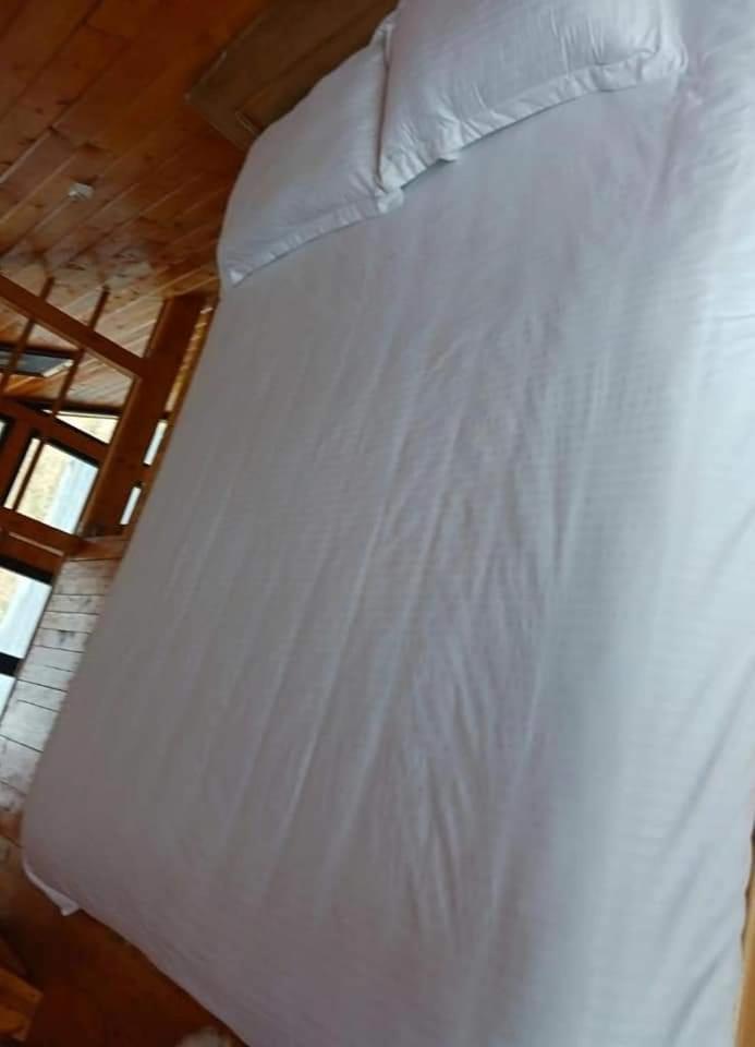Chalet Corbilor The Raven's Hut